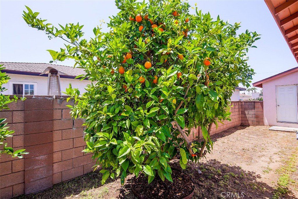 5140 N Clydebank Avenue