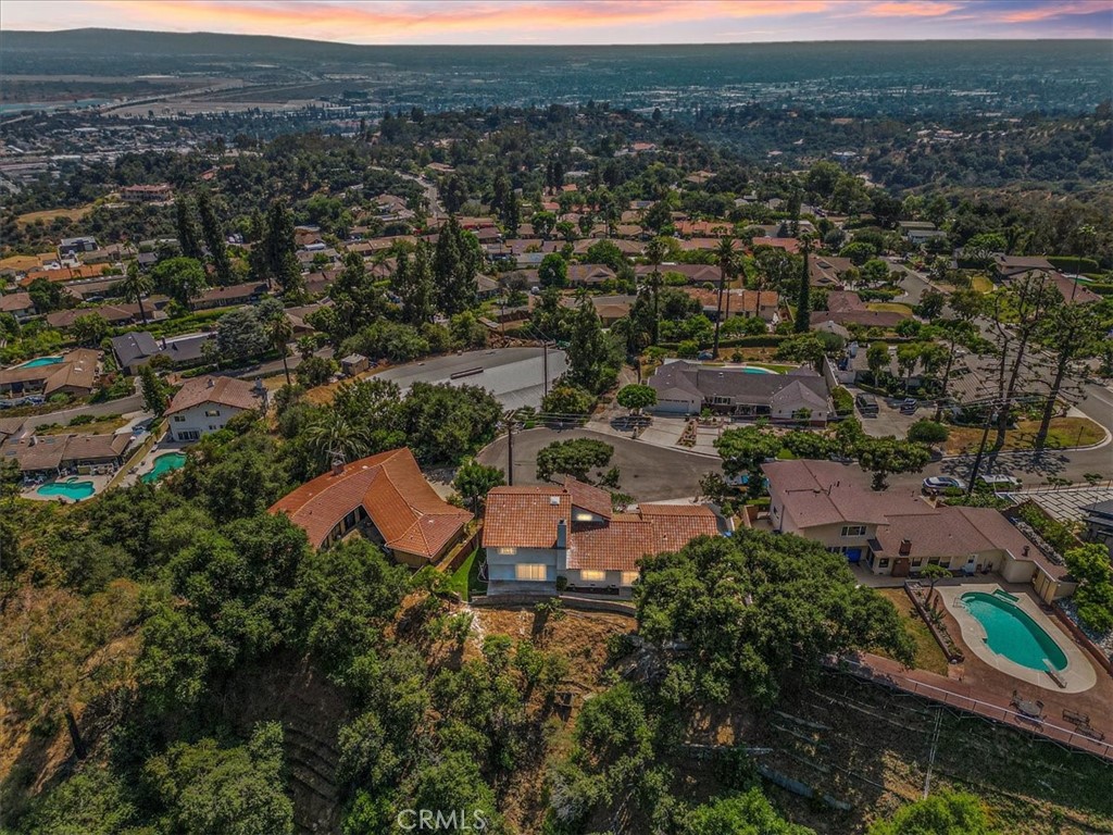 2217 Tall Pine Drive