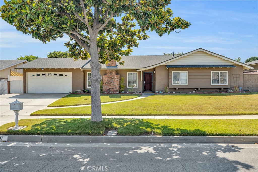 317 Greenbank Avenue