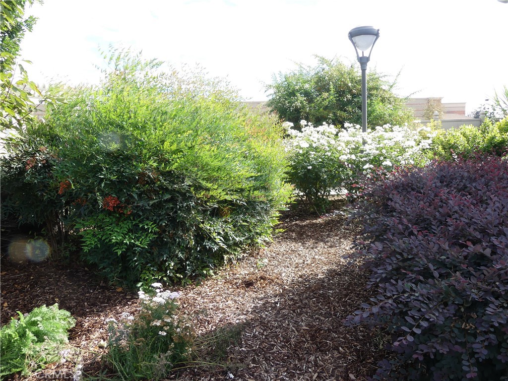 4800 Daleview Avenue 148