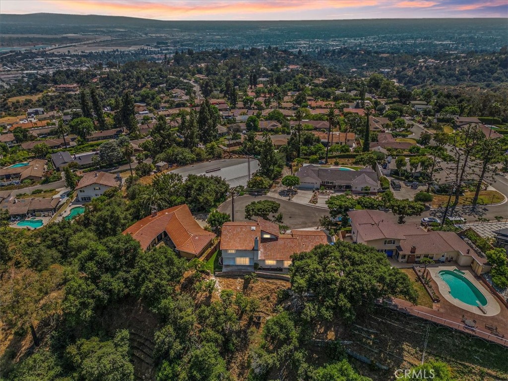 2217 Tall Pine Drive