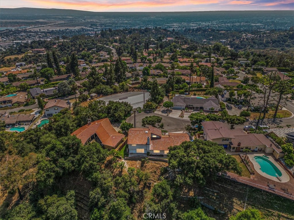 2217 Tall Pine Drive