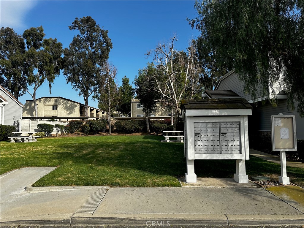 317 Pony Express Road