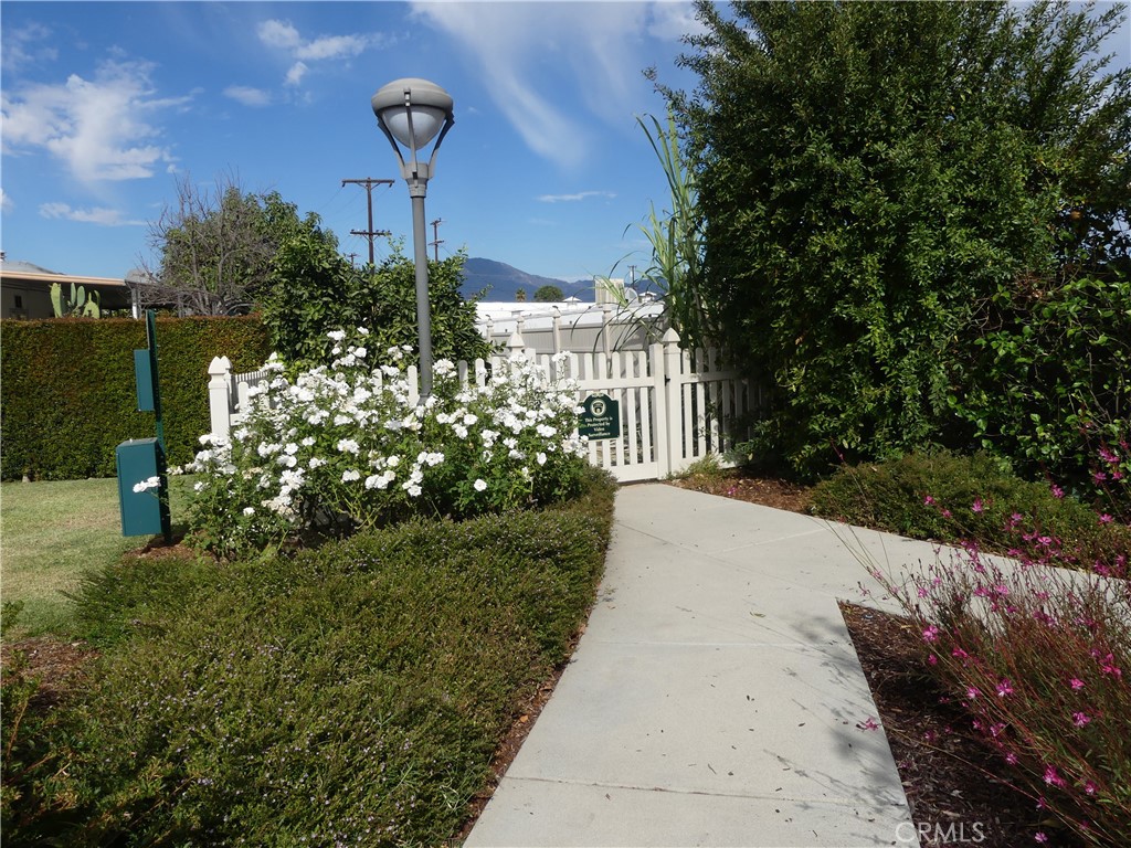 4800 Daleview Avenue 41