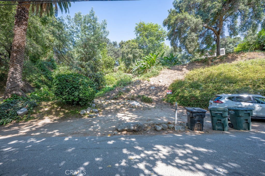 487 Woodland