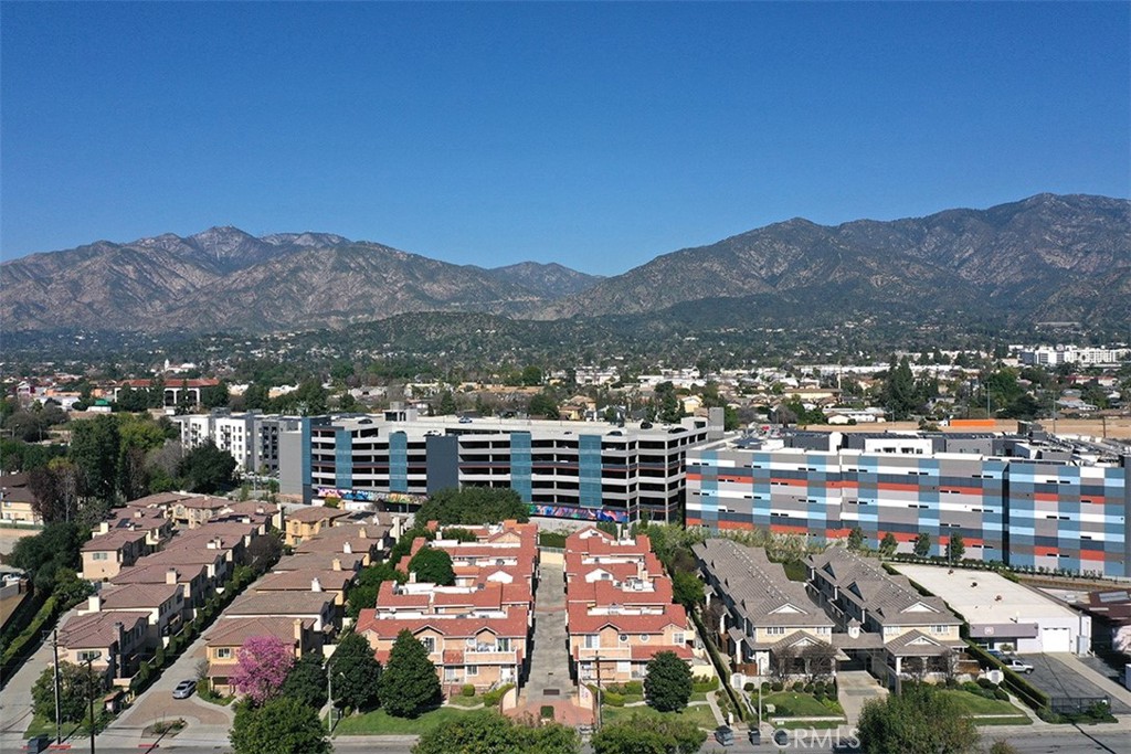 331 Genoa E