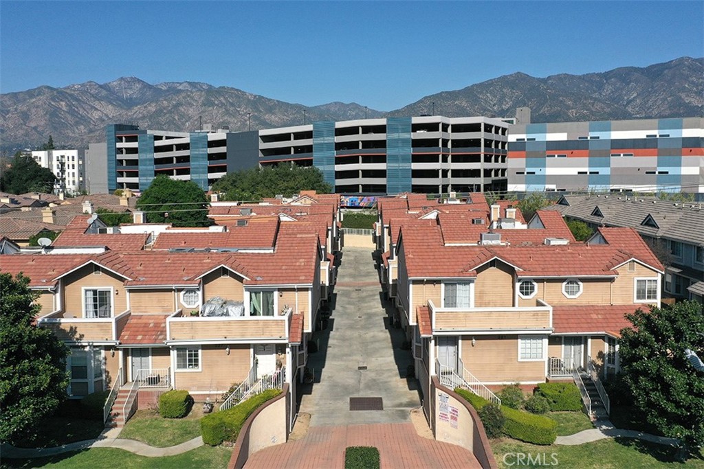 331 Genoa E