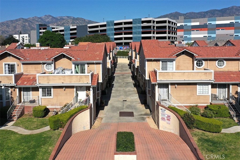 331 Genoa E