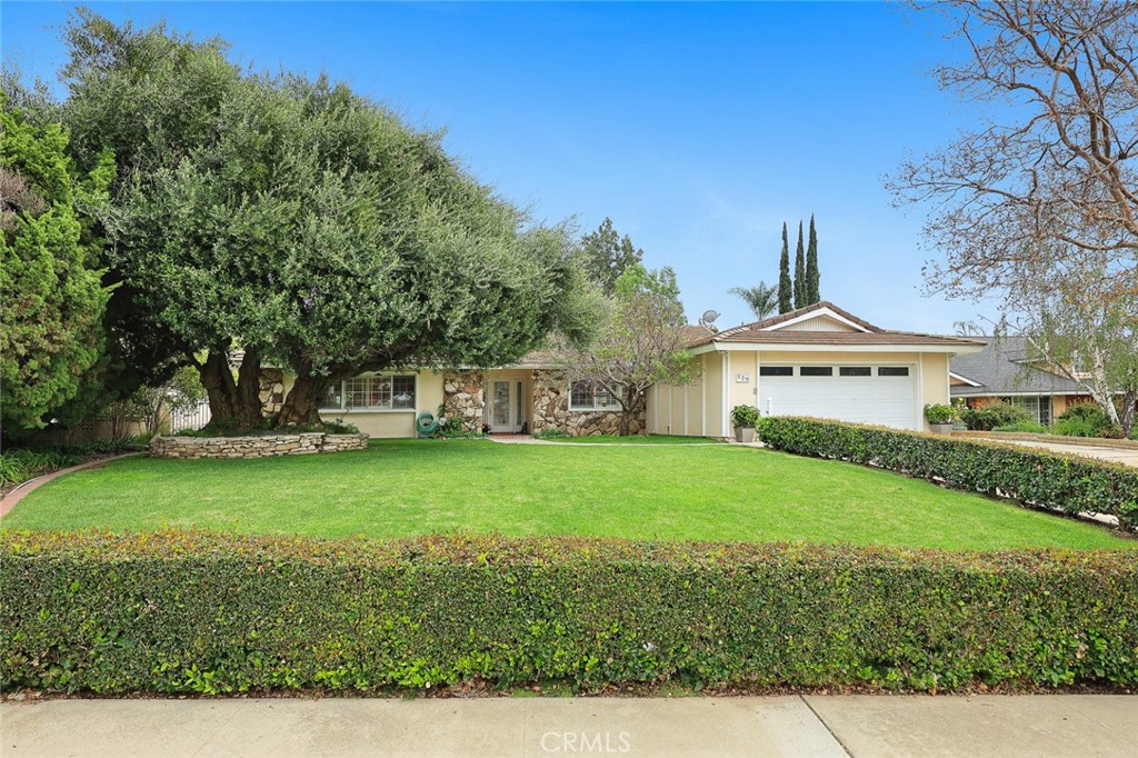 529 Redlands Ave