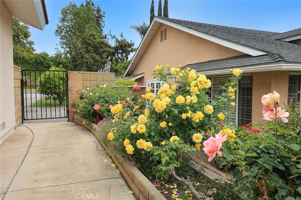529 Redlands Ave
