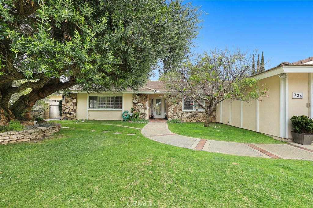 529 Redlands Ave