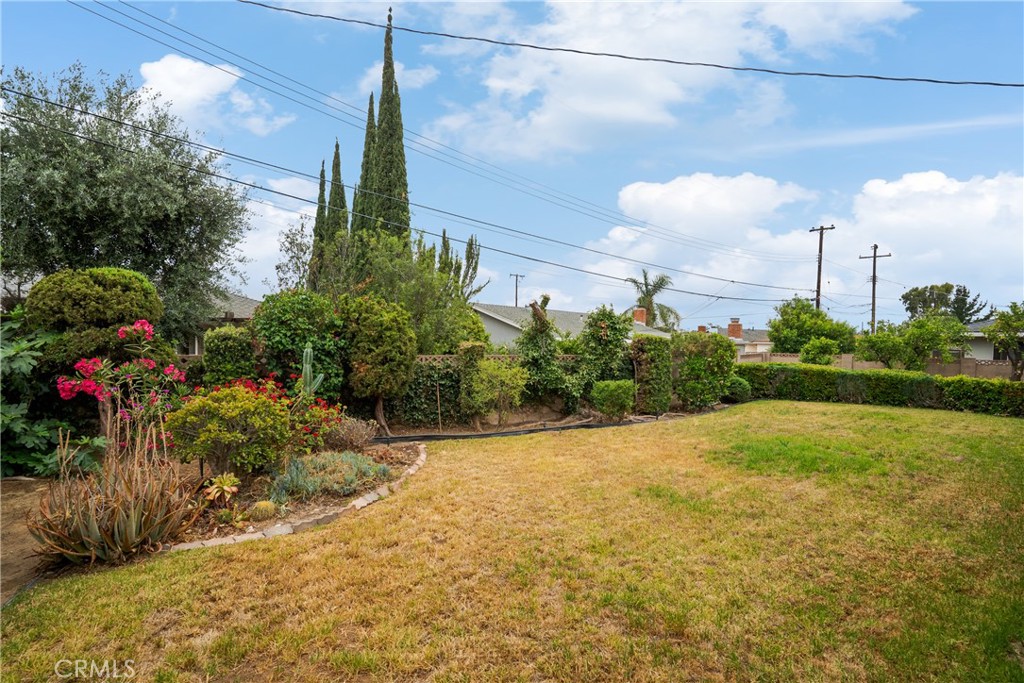 920 Wildrose