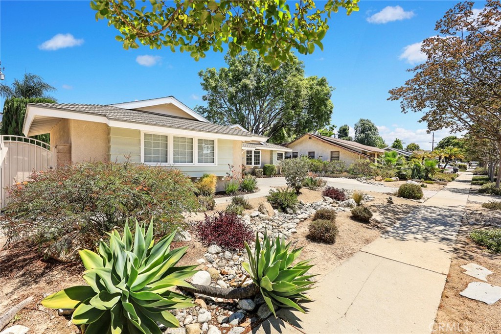 647 Ridgefield Dr