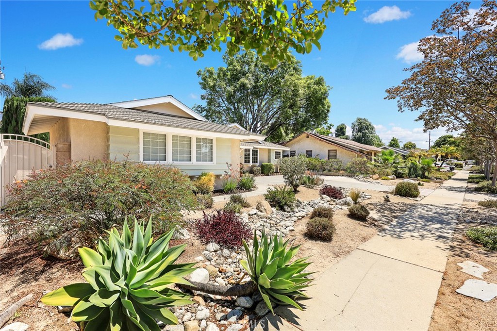 647 Ridgefield Dr