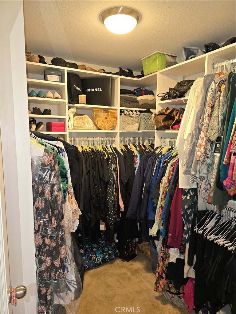 10385 Plumeria Court