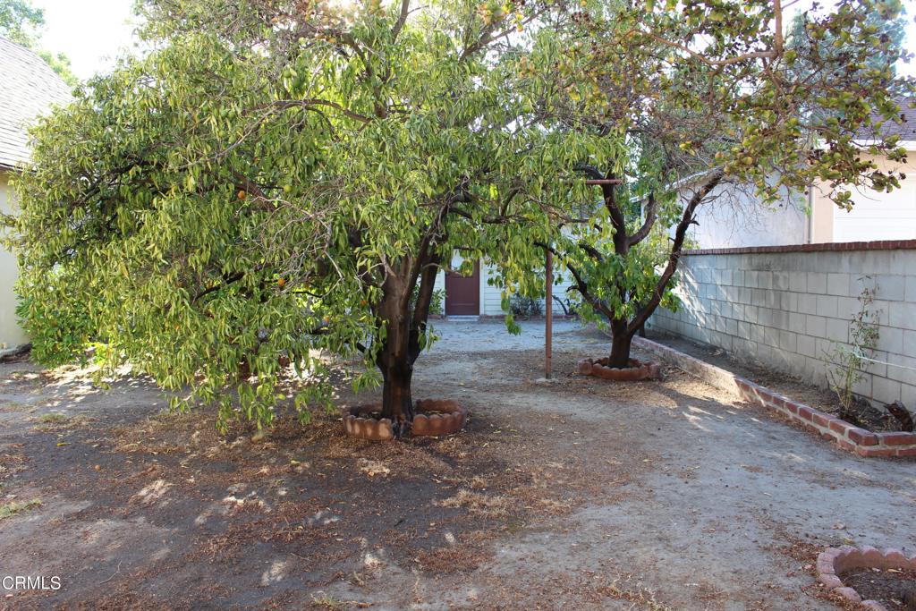 921 N Catalina Street