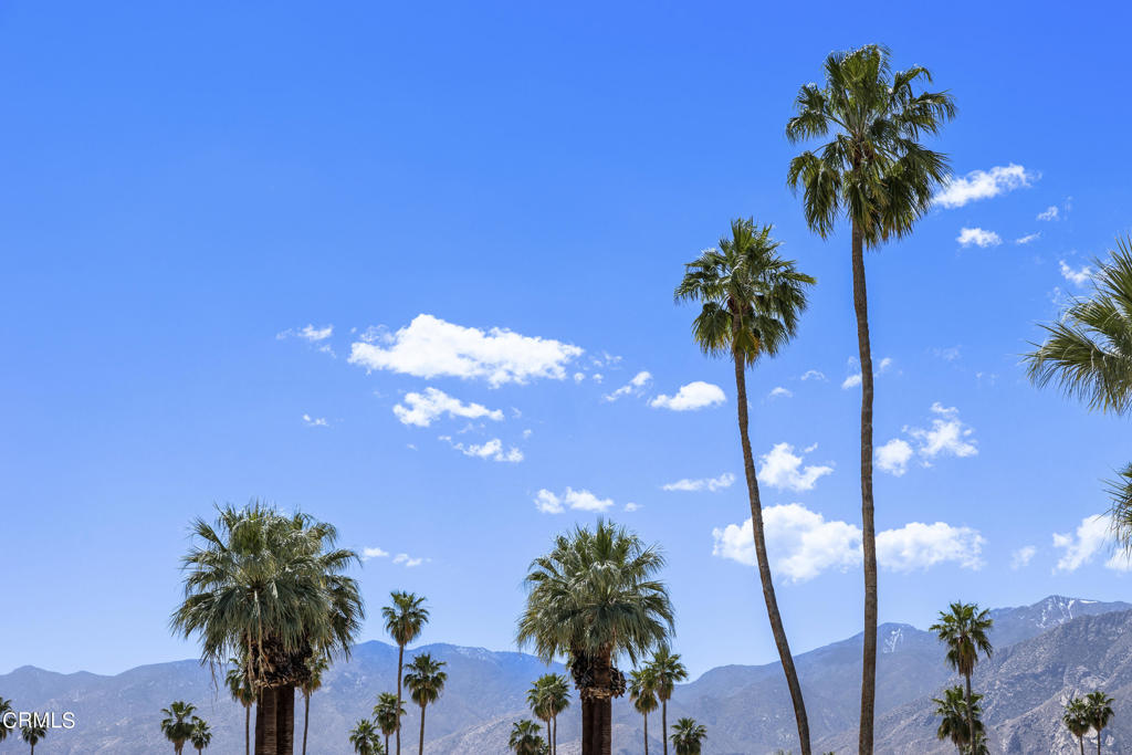 218 N Orchid Tree Lane