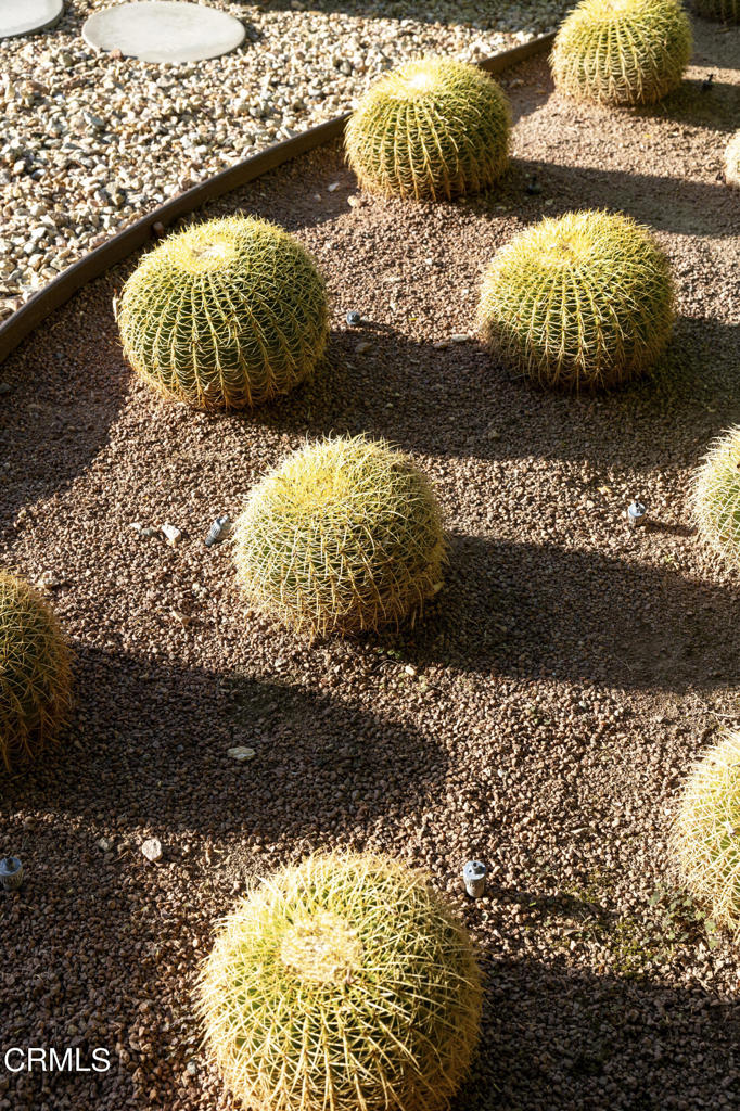 218 N Orchid Tree Lane