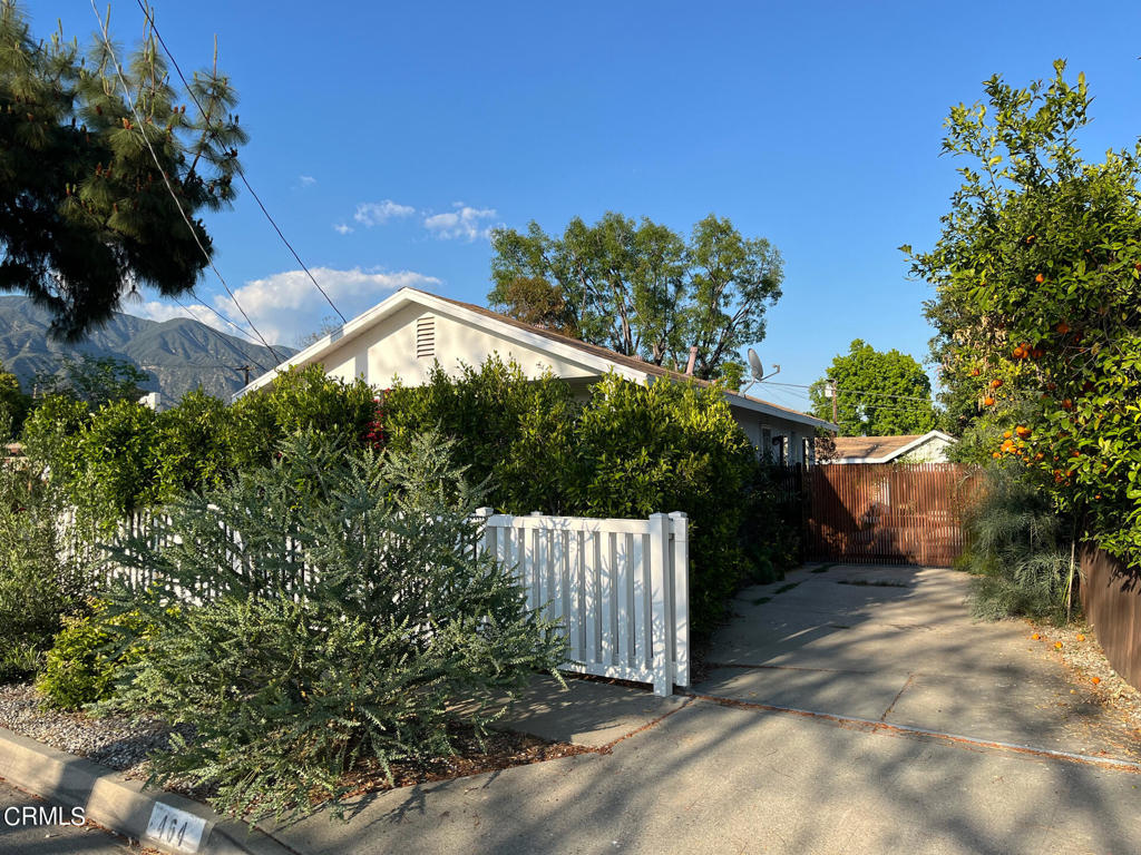 464 Avocado Avenue