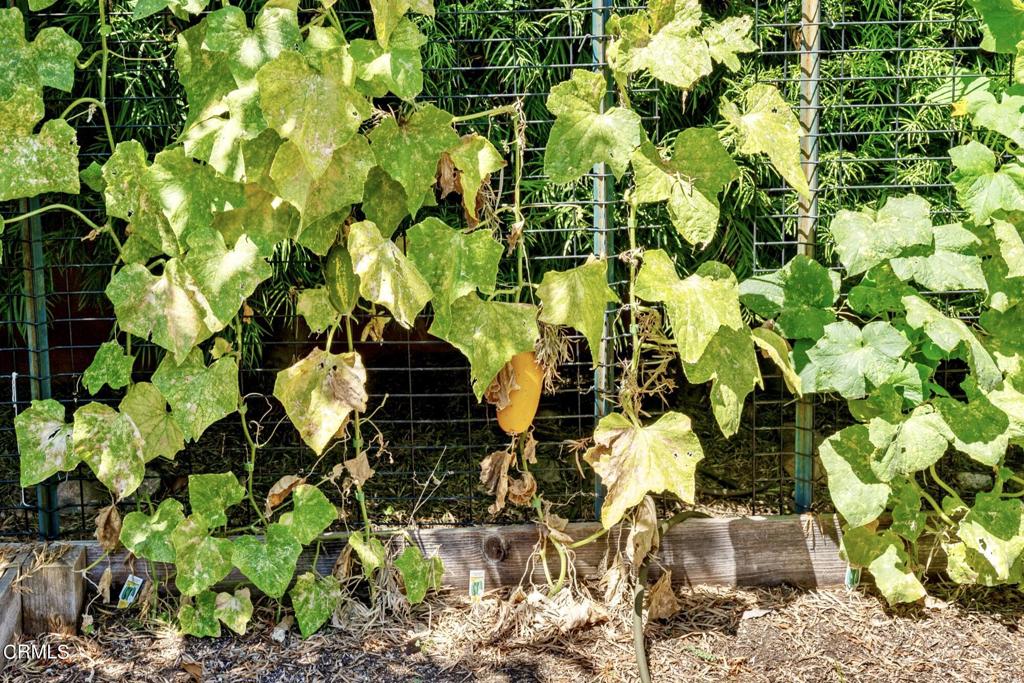 2555 Vista Laguna Terrace