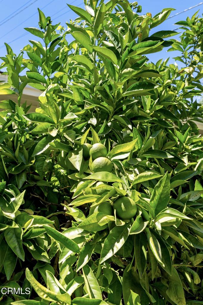 2555 Vista Laguna Terrace