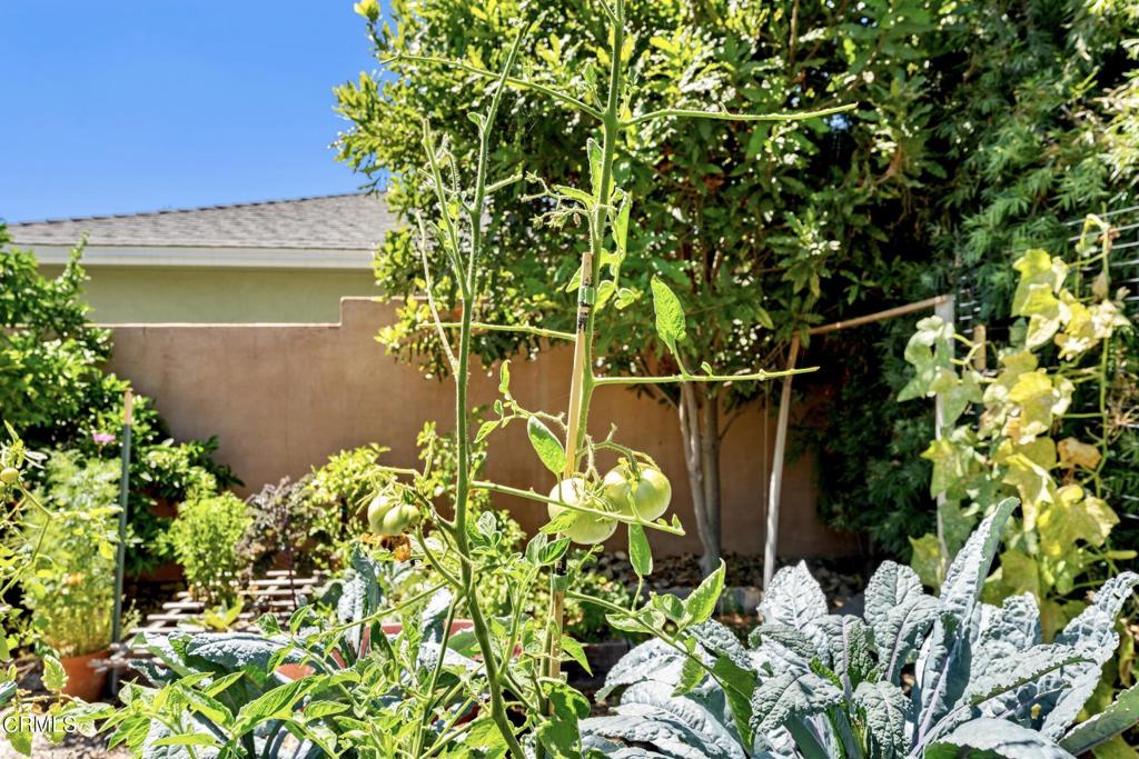 2555 Vista Laguna Terrace