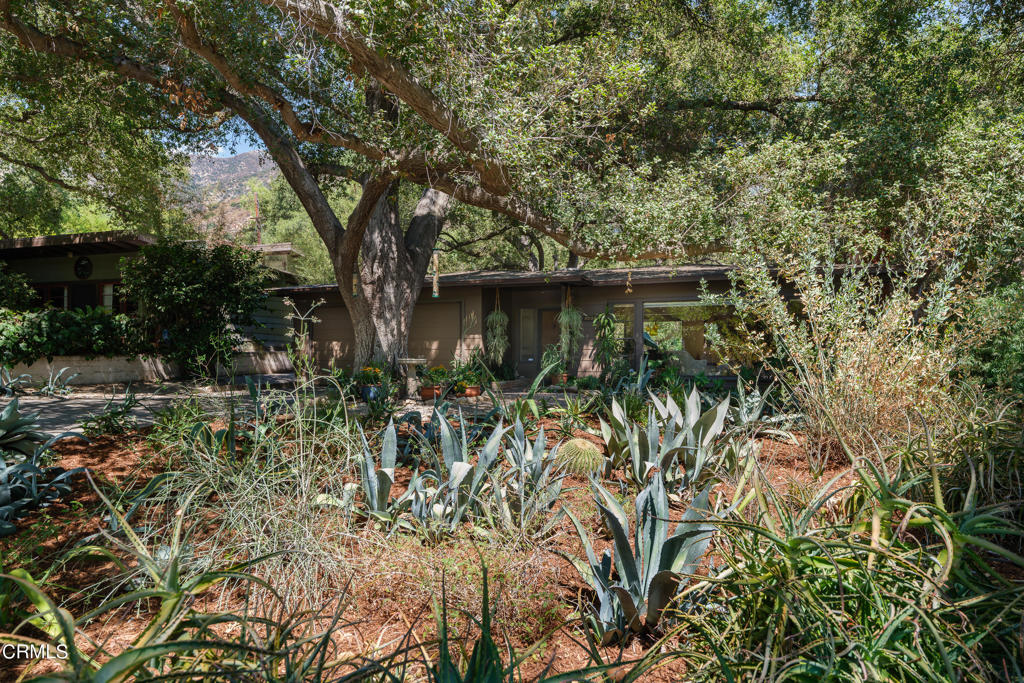 3232 Mount Curve Avenue