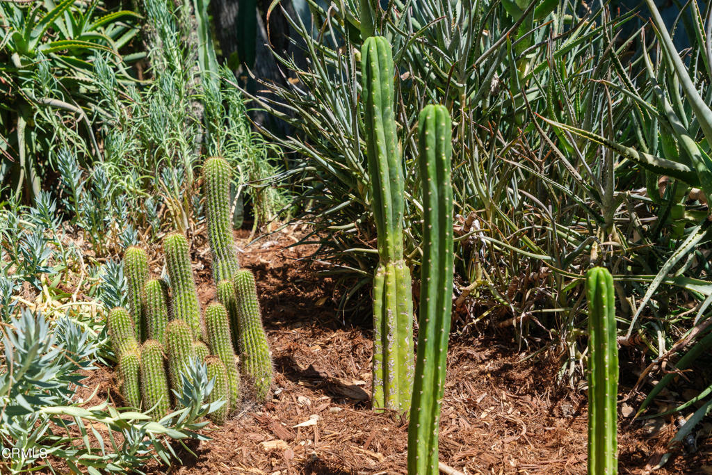 3232 Mount Curve Avenue