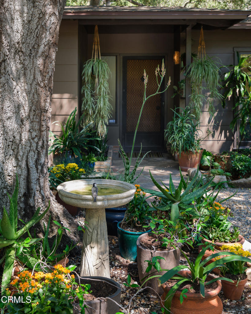 3232 Mount Curve Avenue