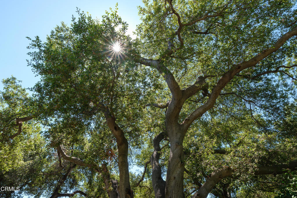 3232 Mount Curve Avenue