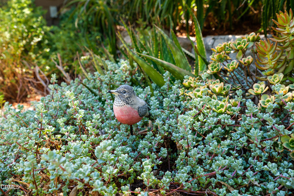 3232 Mount Curve Avenue