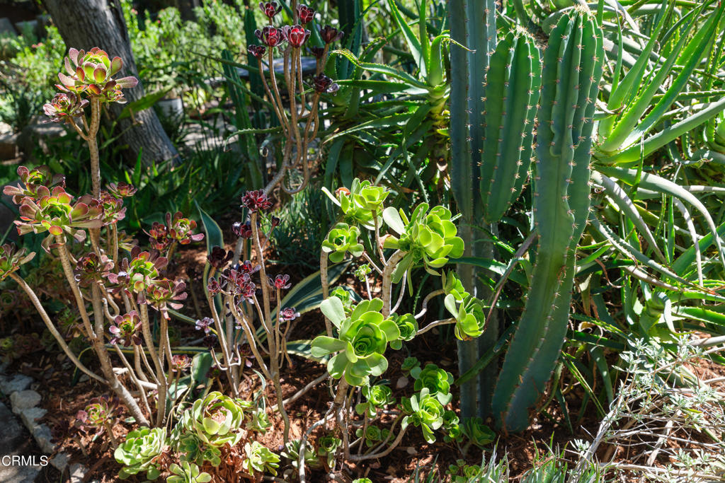 3232 Mount Curve Avenue