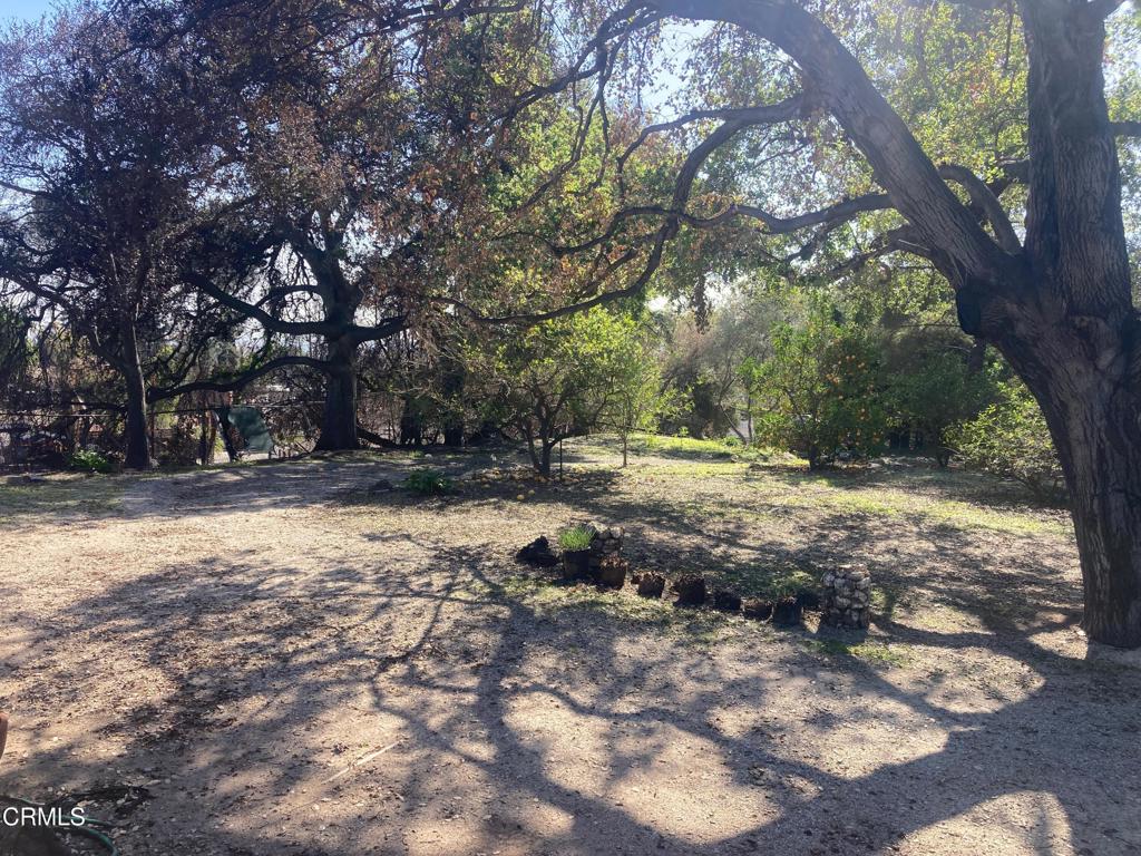 3430 Chaney Trail Trail