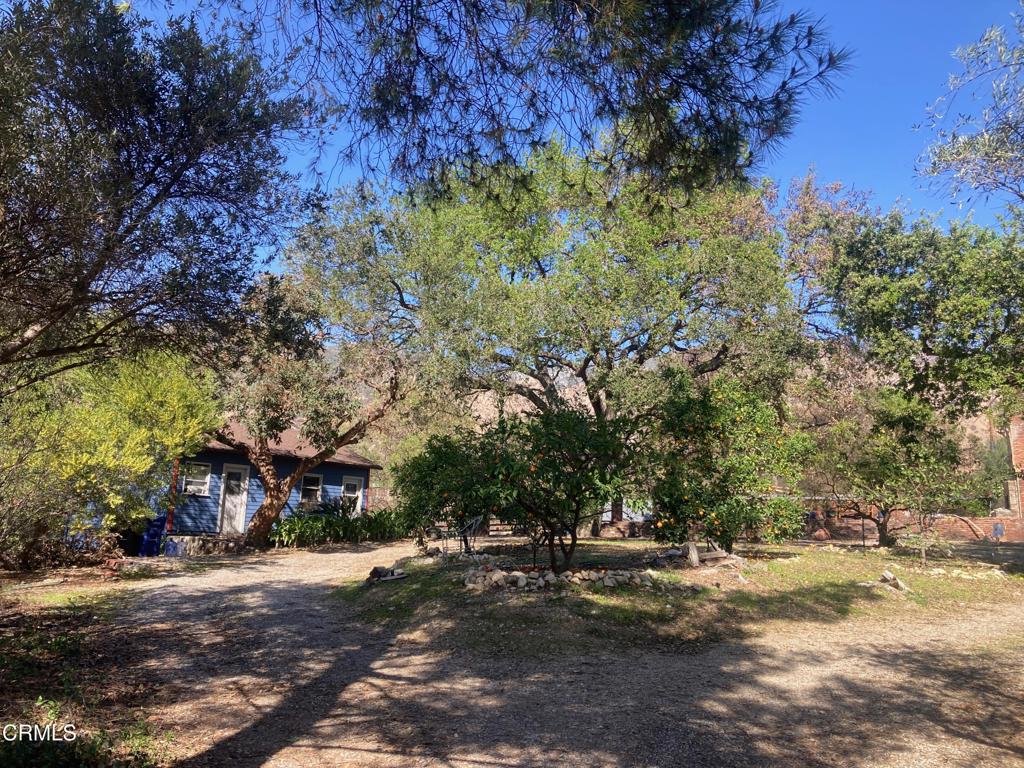 3430 Chaney Trail Trail