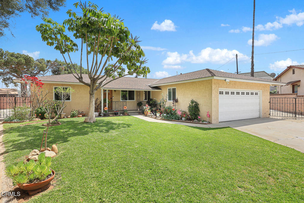 1444 Mountain Vista Drive