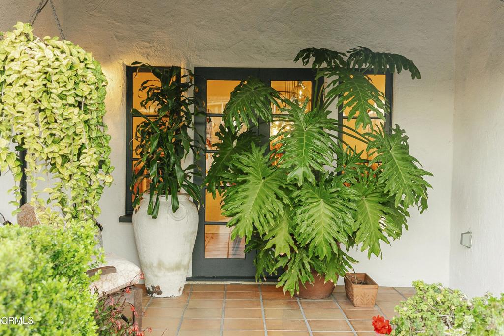 1241 Solita Road