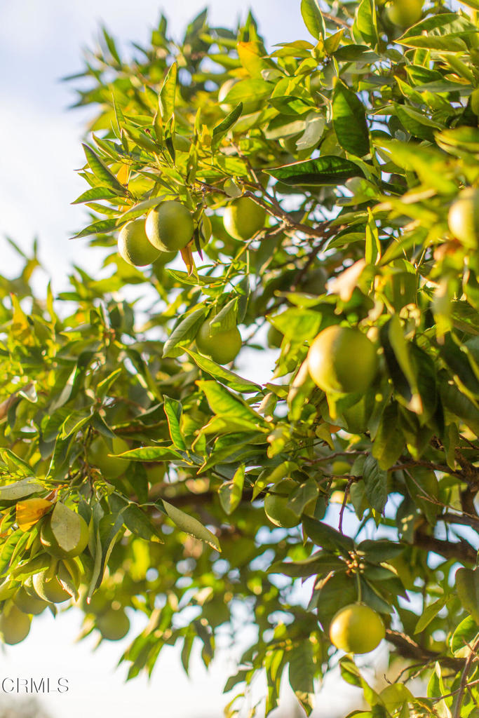 3880 Clayton Avenue W