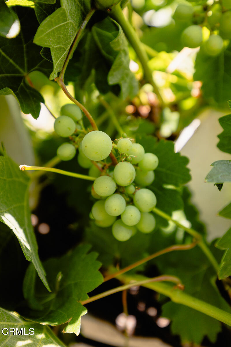 1116 Foothill Street