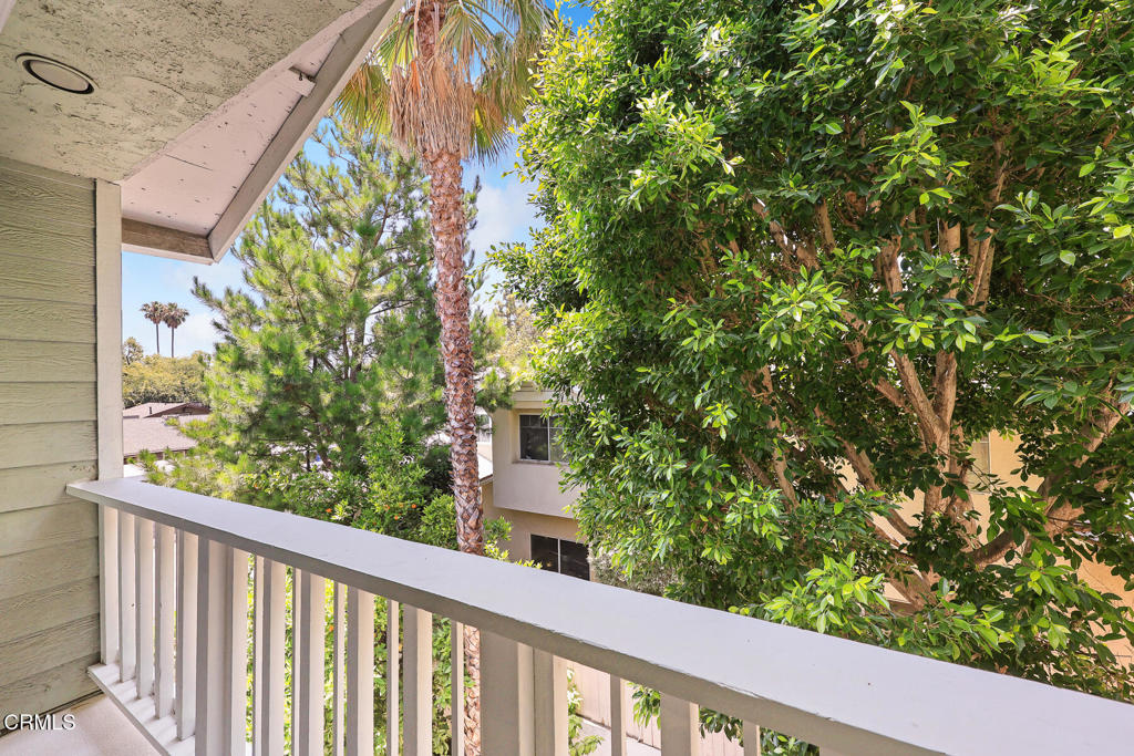 441 Maple Way 6