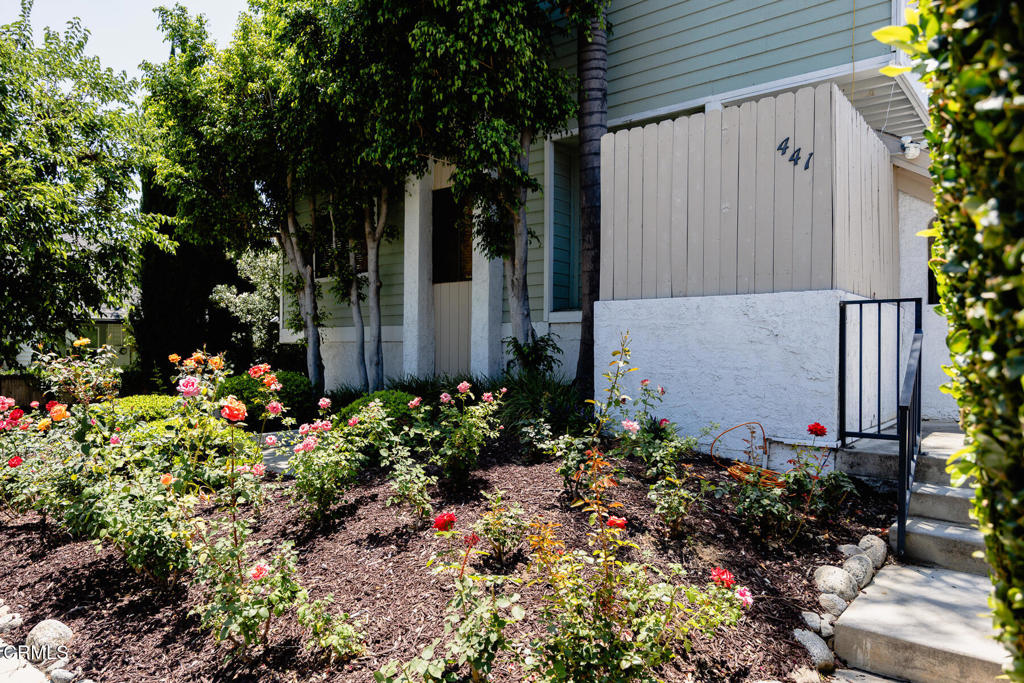 441 Maple Way 6