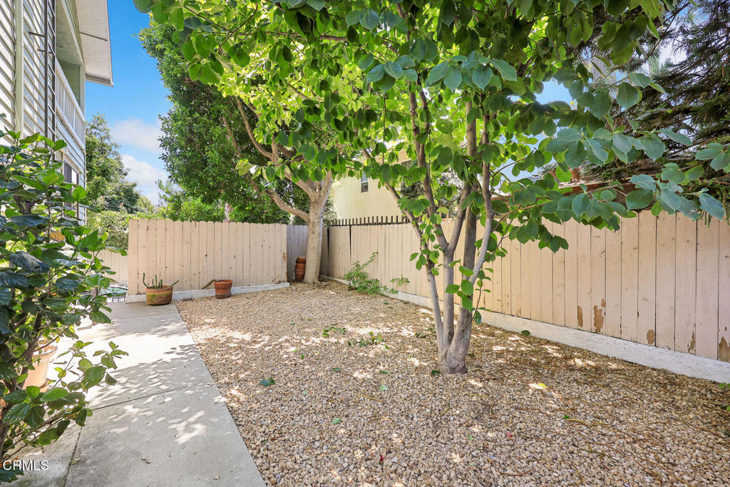 441 Maple Way 6