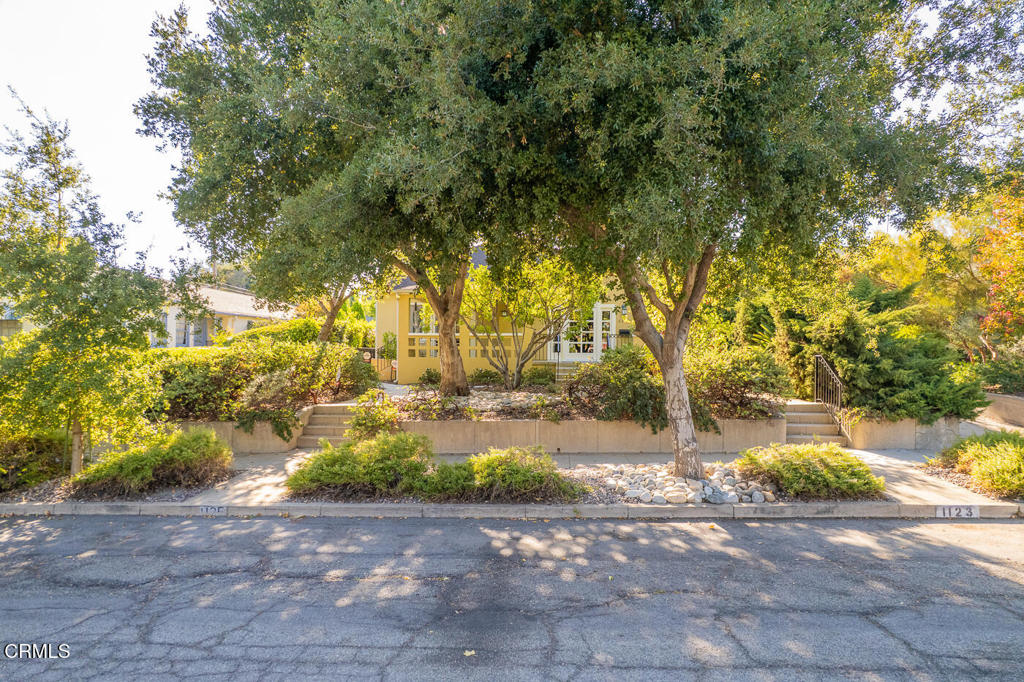 1123 Montrose Avenue
