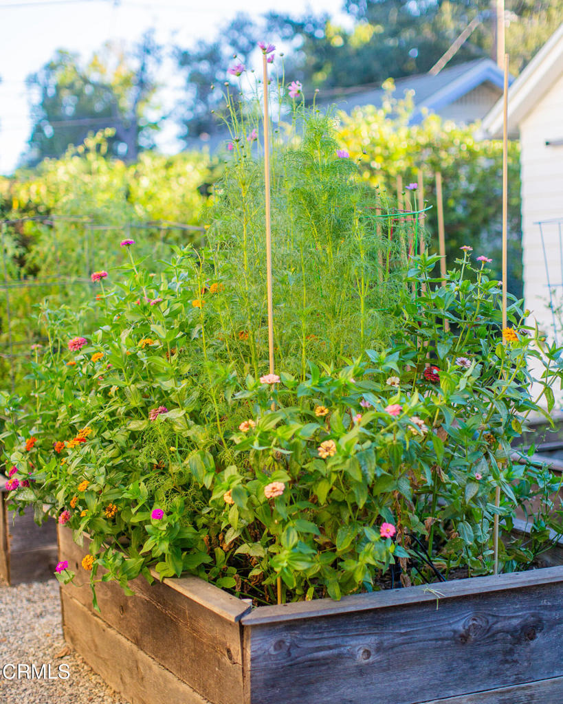 1123 Montrose Avenue