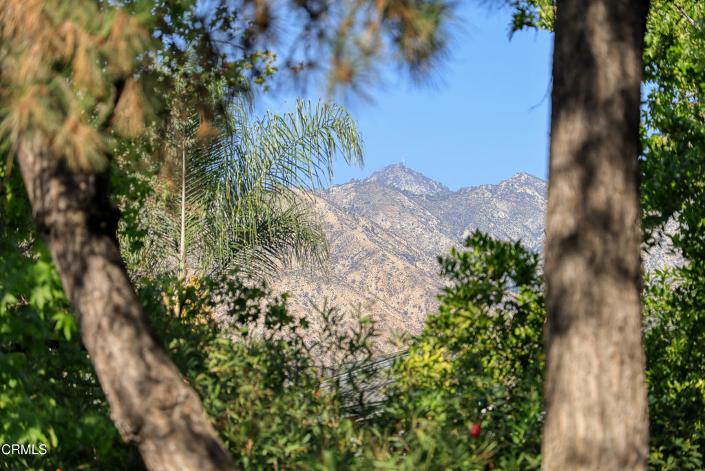 2471 Loma Vista Street