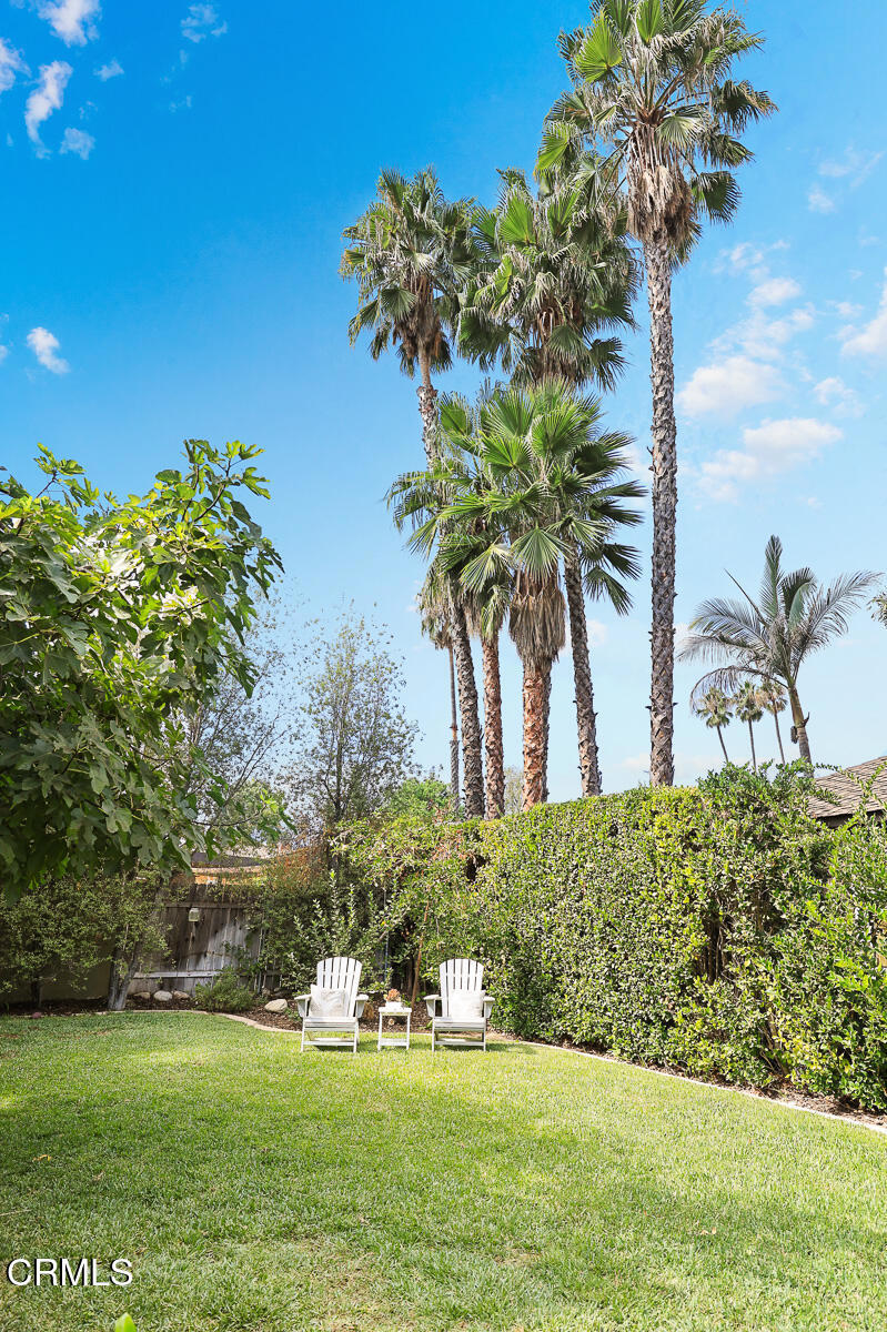 847 Eaton Drive
