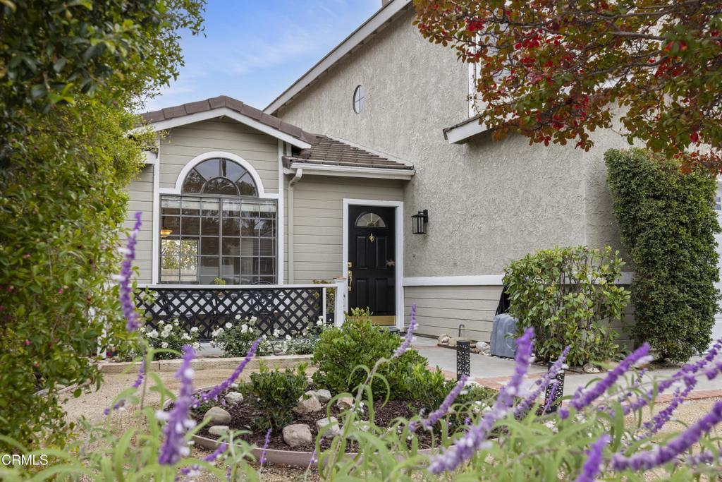 27722 Buckskin Drive