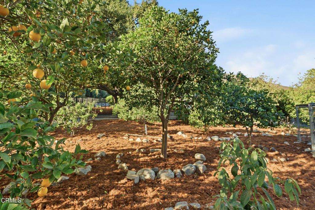 3110 Meyerloa Lane
