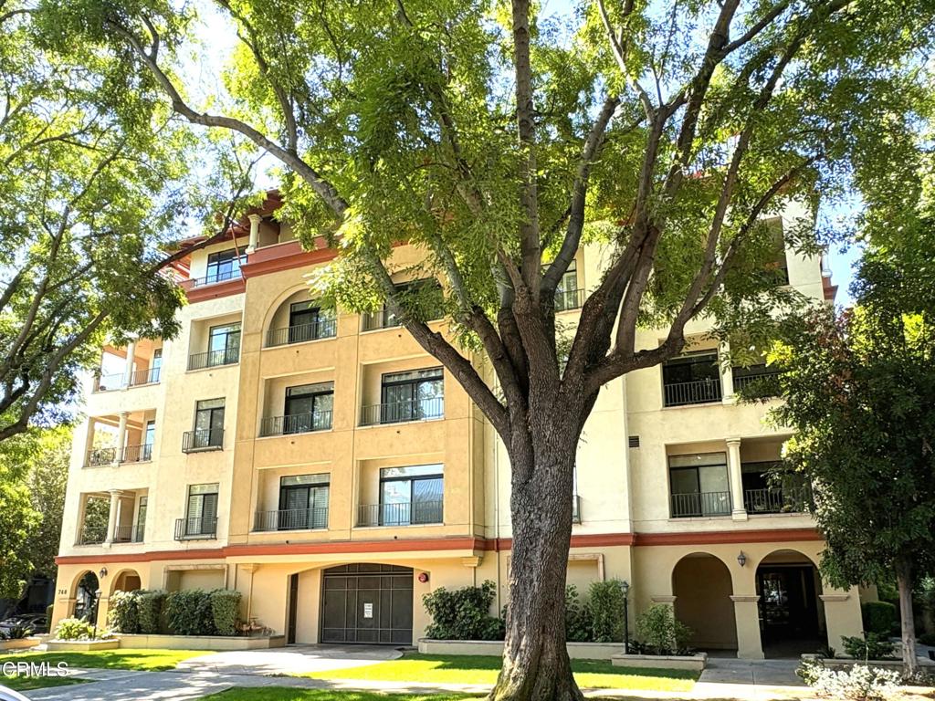 742 Locust 202