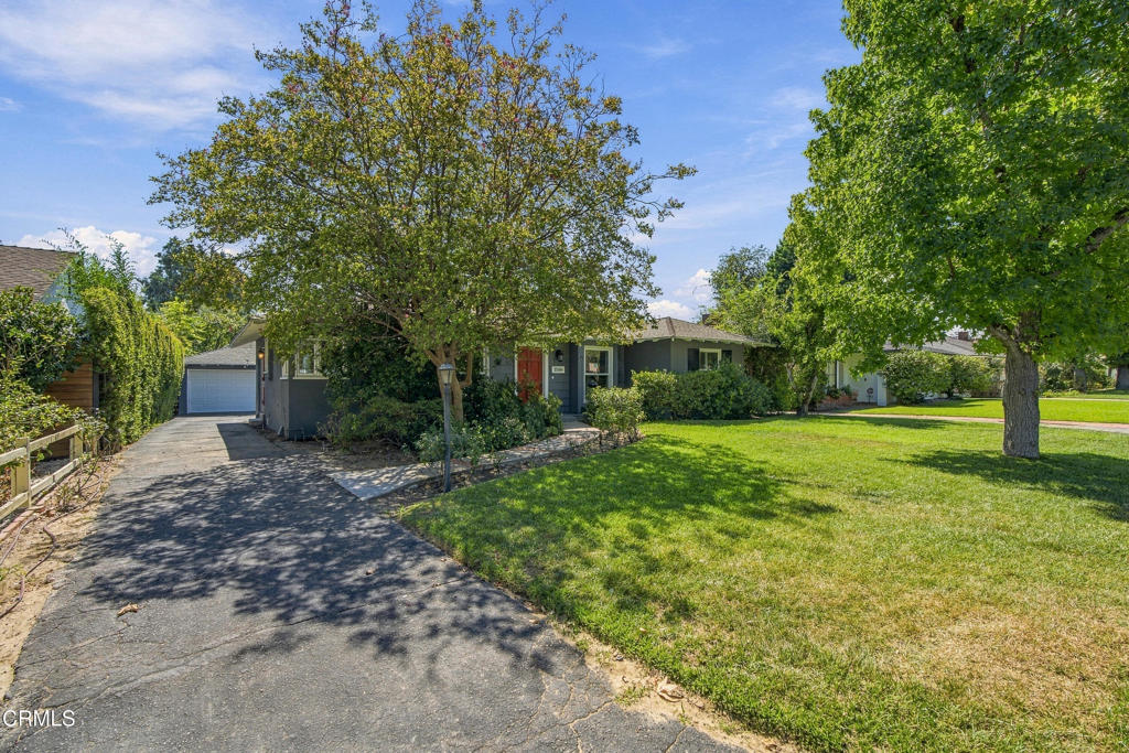 3586 Mountain View