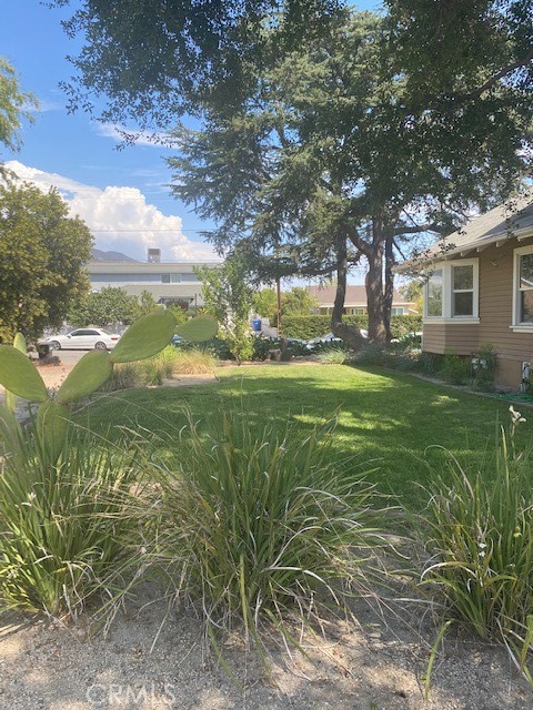 1751 N Oxford Avenue